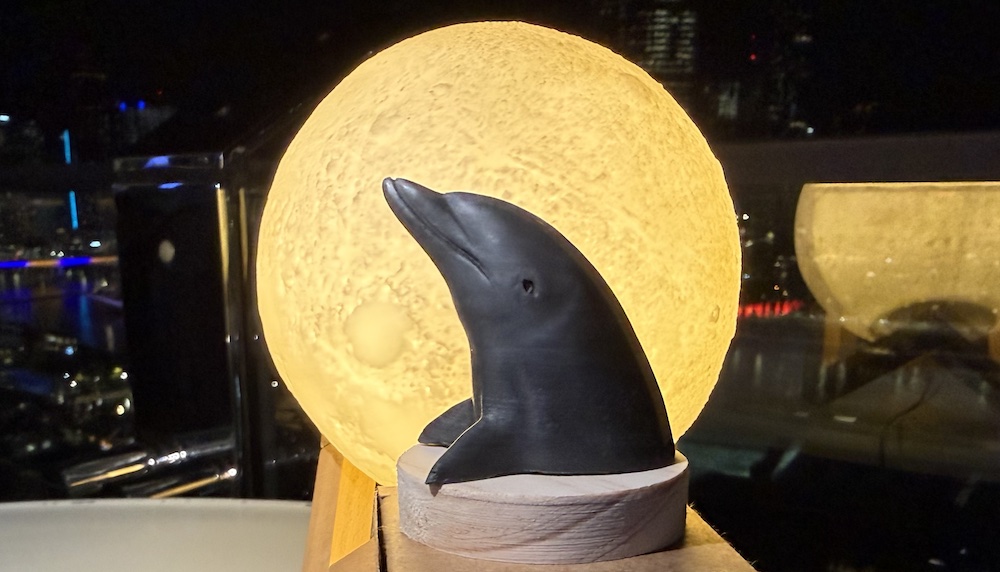 Carnauba and beeswax bottlenose dolphin sculpture on a pine plinth